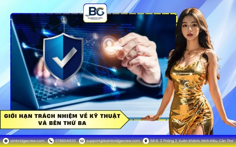 Giới hạn trách nhiệm về kỹ thuật và bên thứ ba